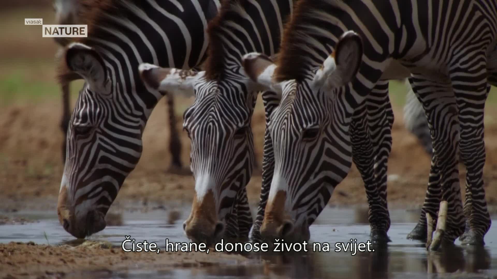 ViasatNature