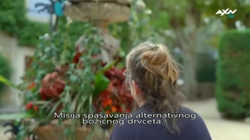 AXNSpin