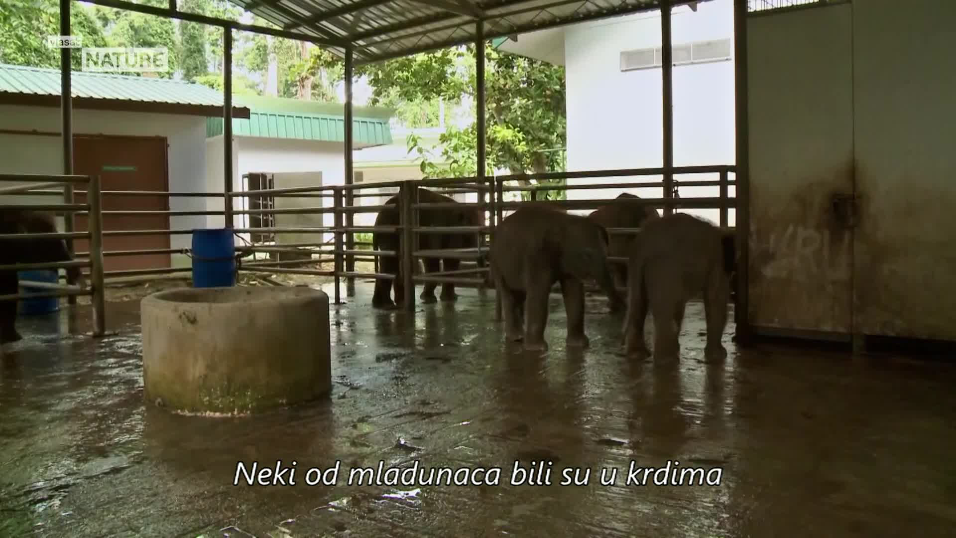 ViasatNature