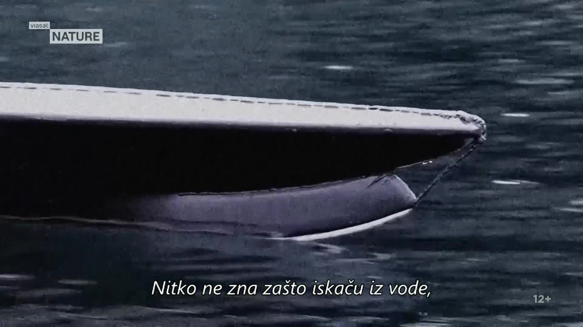 ViasatNature