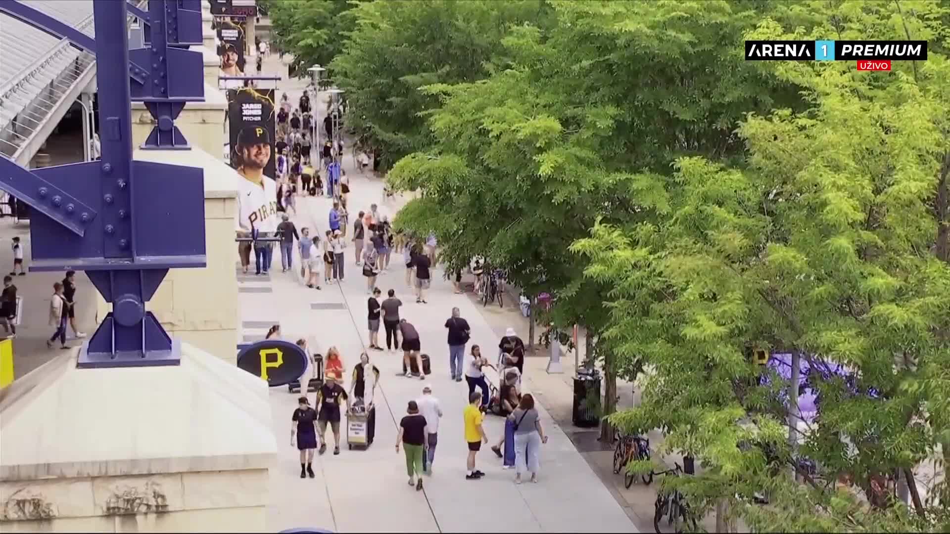 DScience