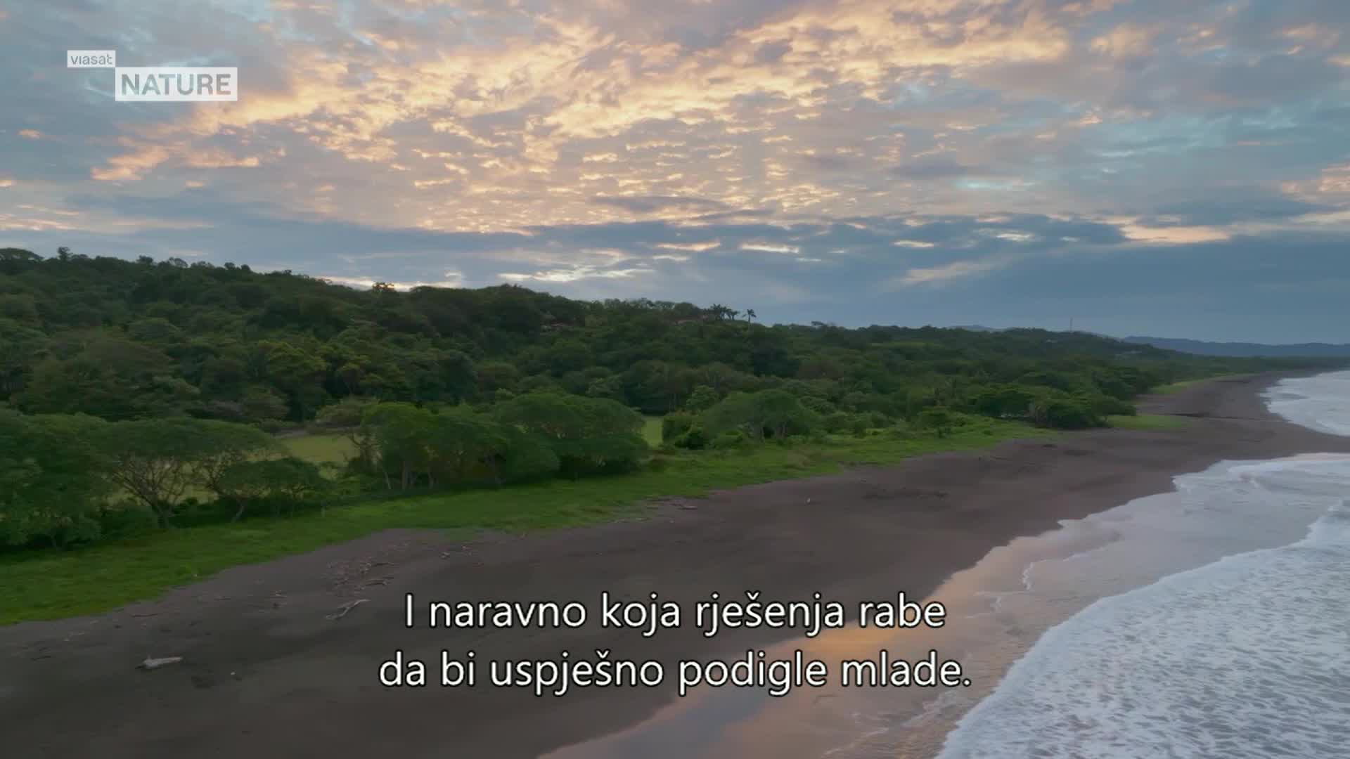ViasatNature