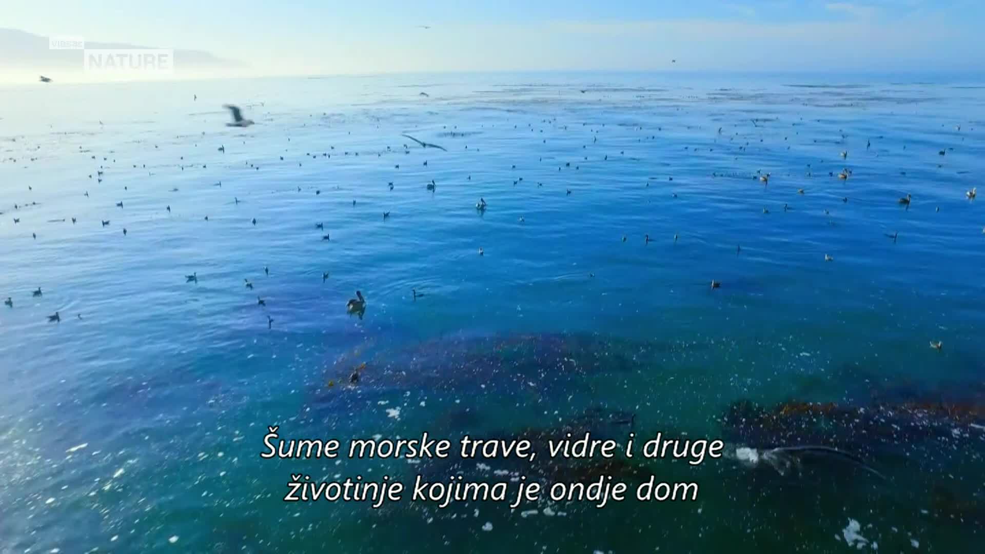 ViasatNature
