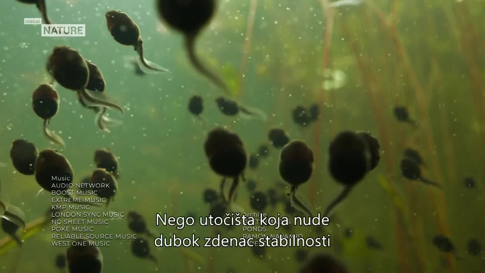 ViasatNature