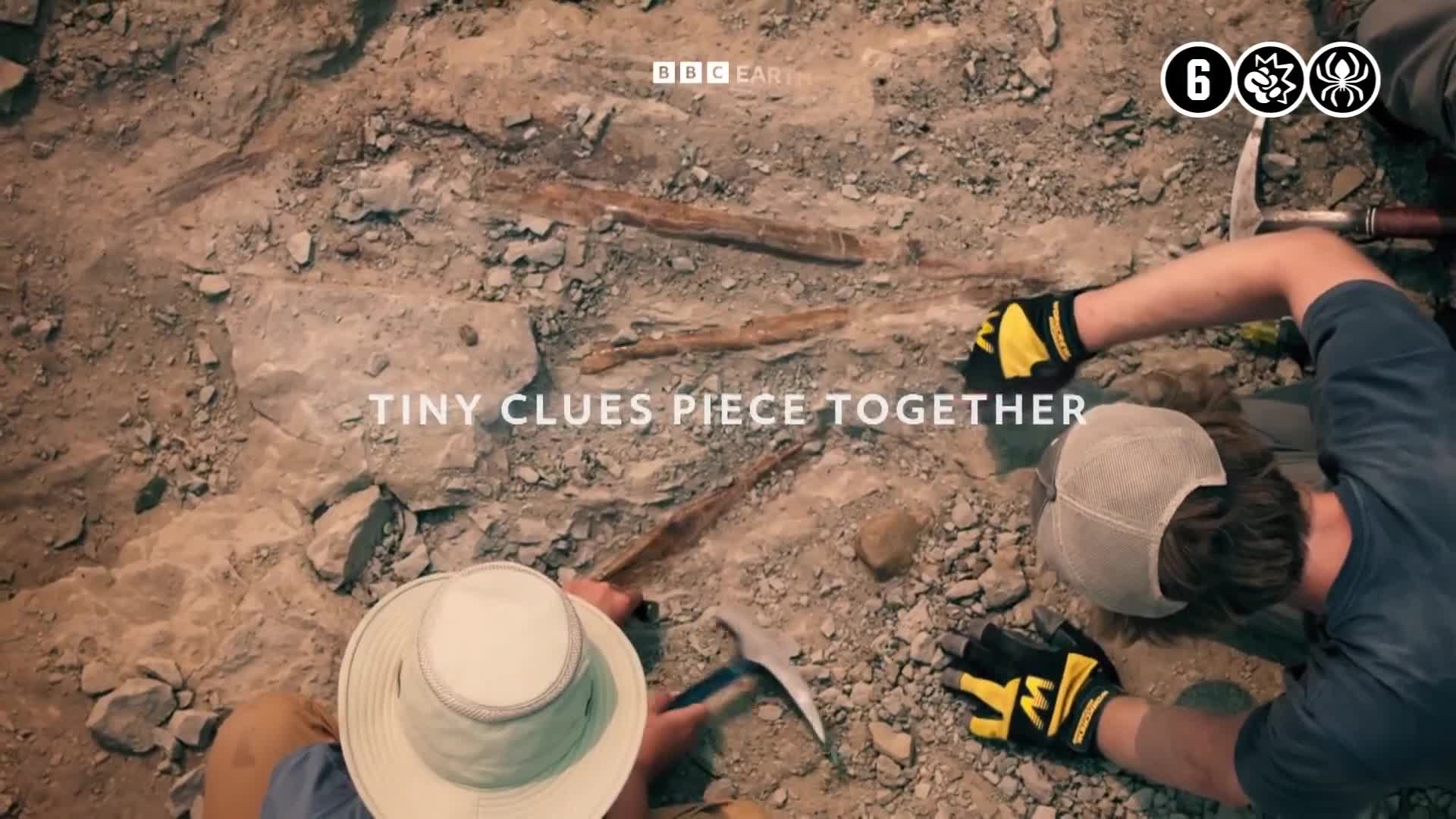 BBCEarth