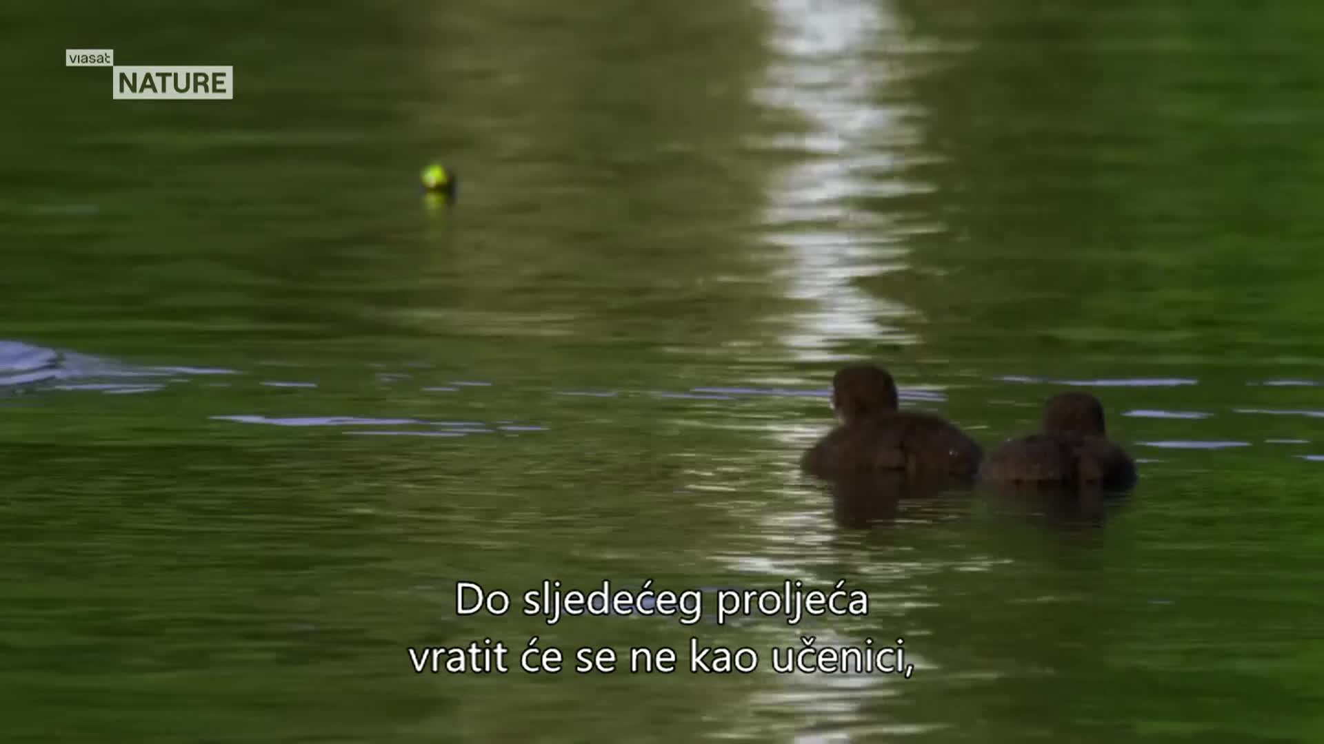 ViasatNature