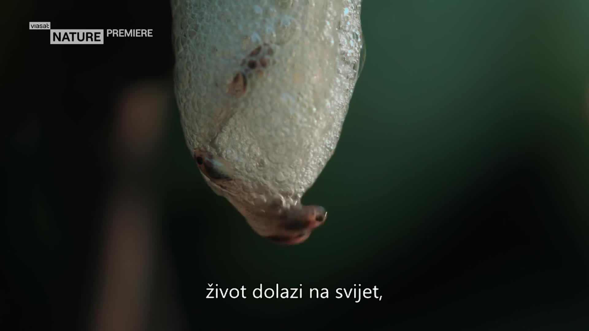 ViasatNature