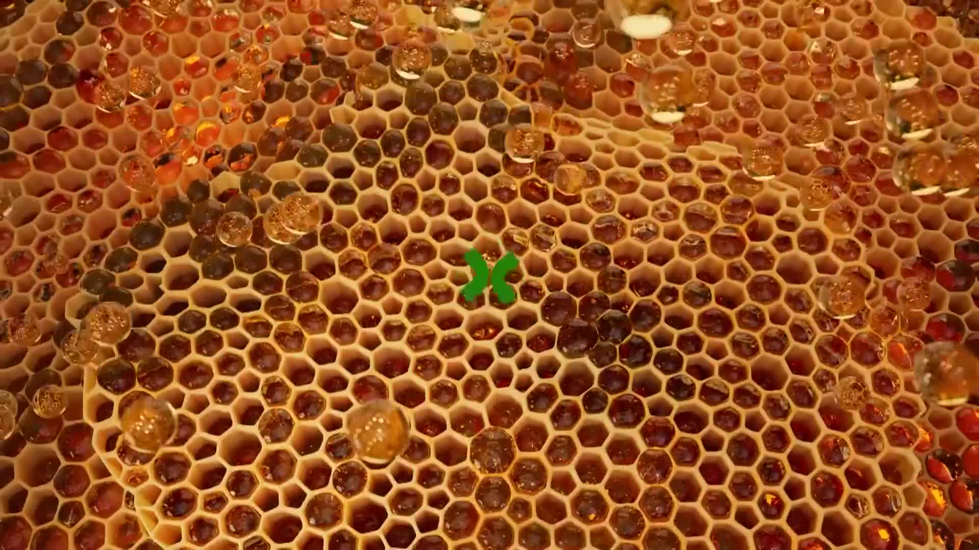 ViasatNature