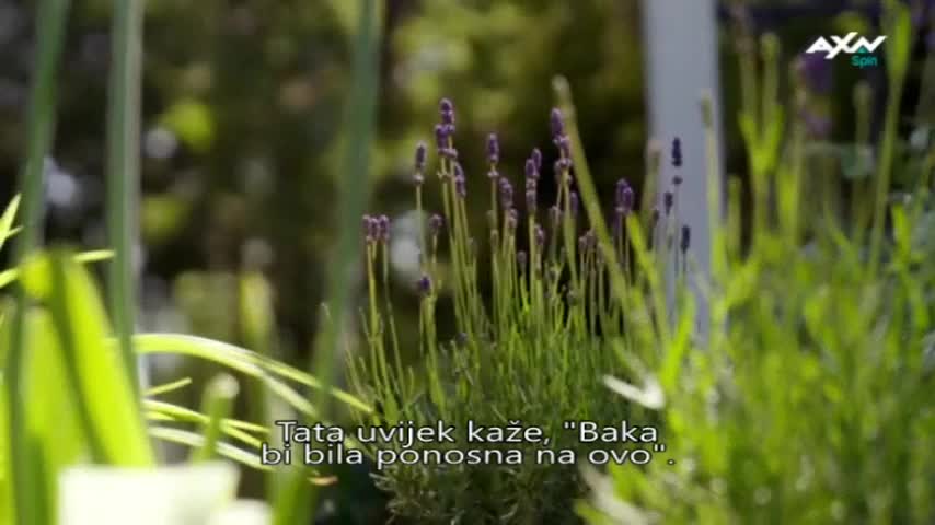 AXNSpin