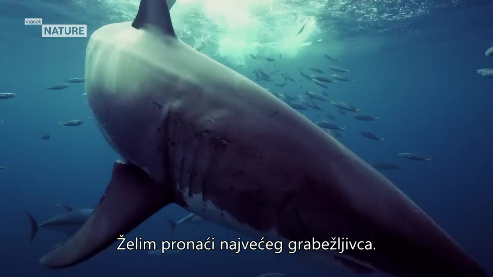 ViasatNature