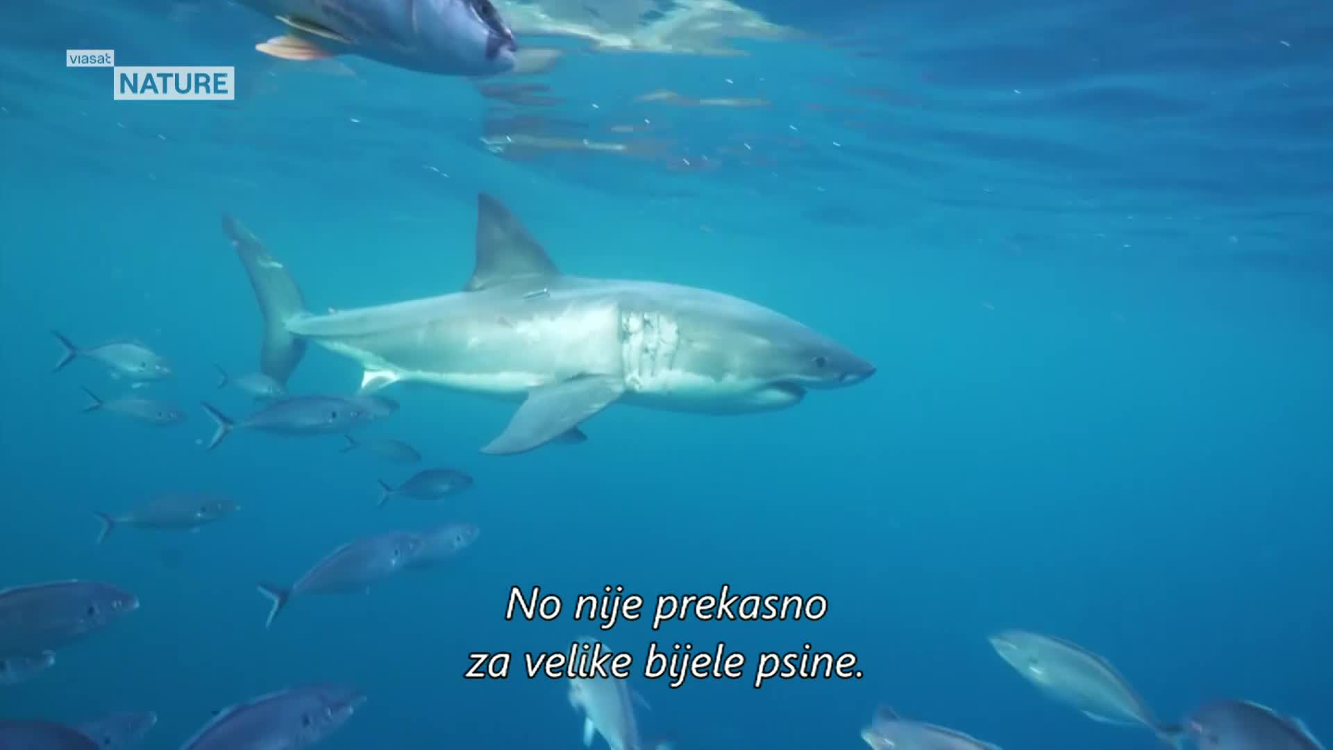 ViasatNature