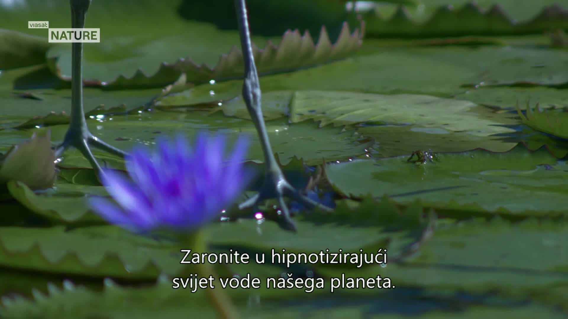 ViasatNature