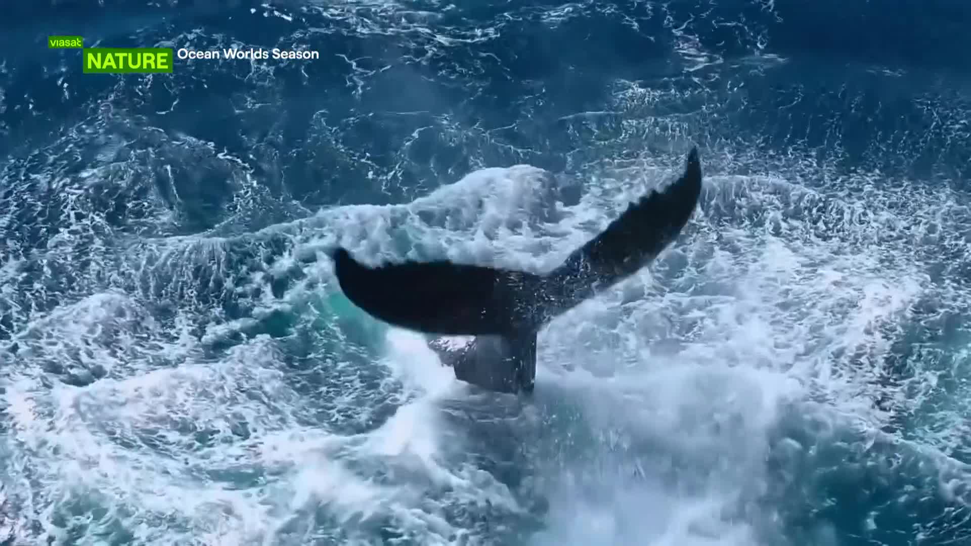 ViasatNature