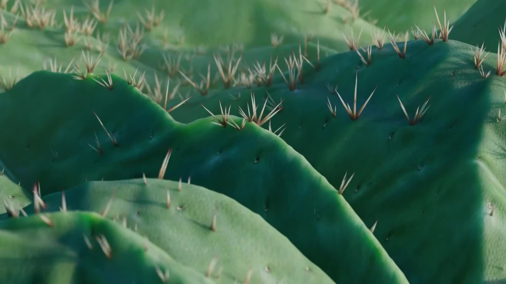 ViasatNature