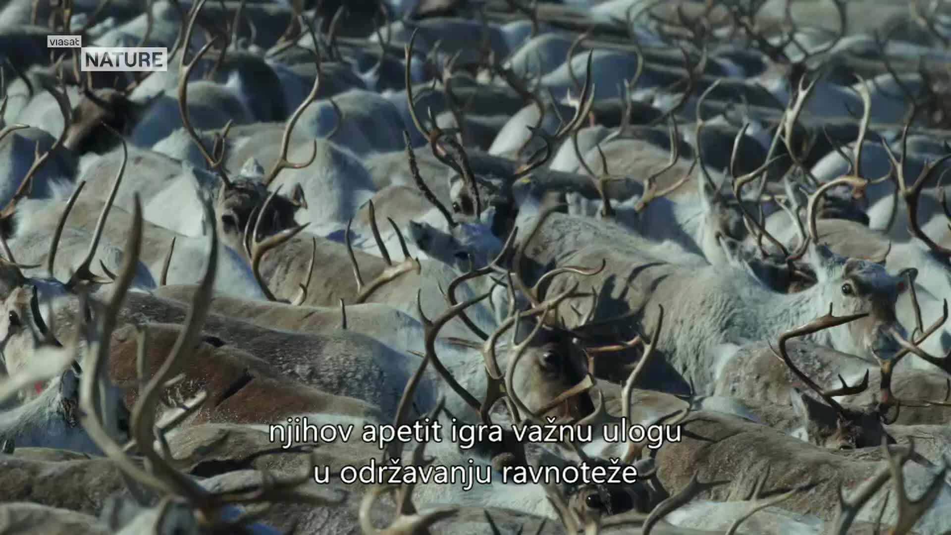 ViasatNature