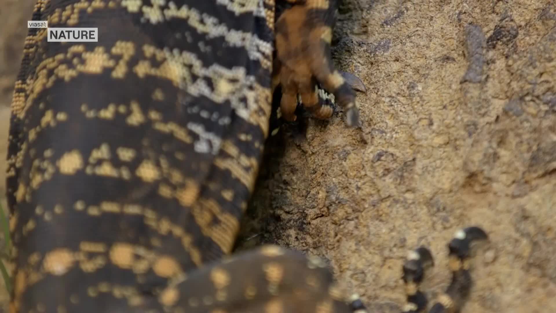 ViasatNature