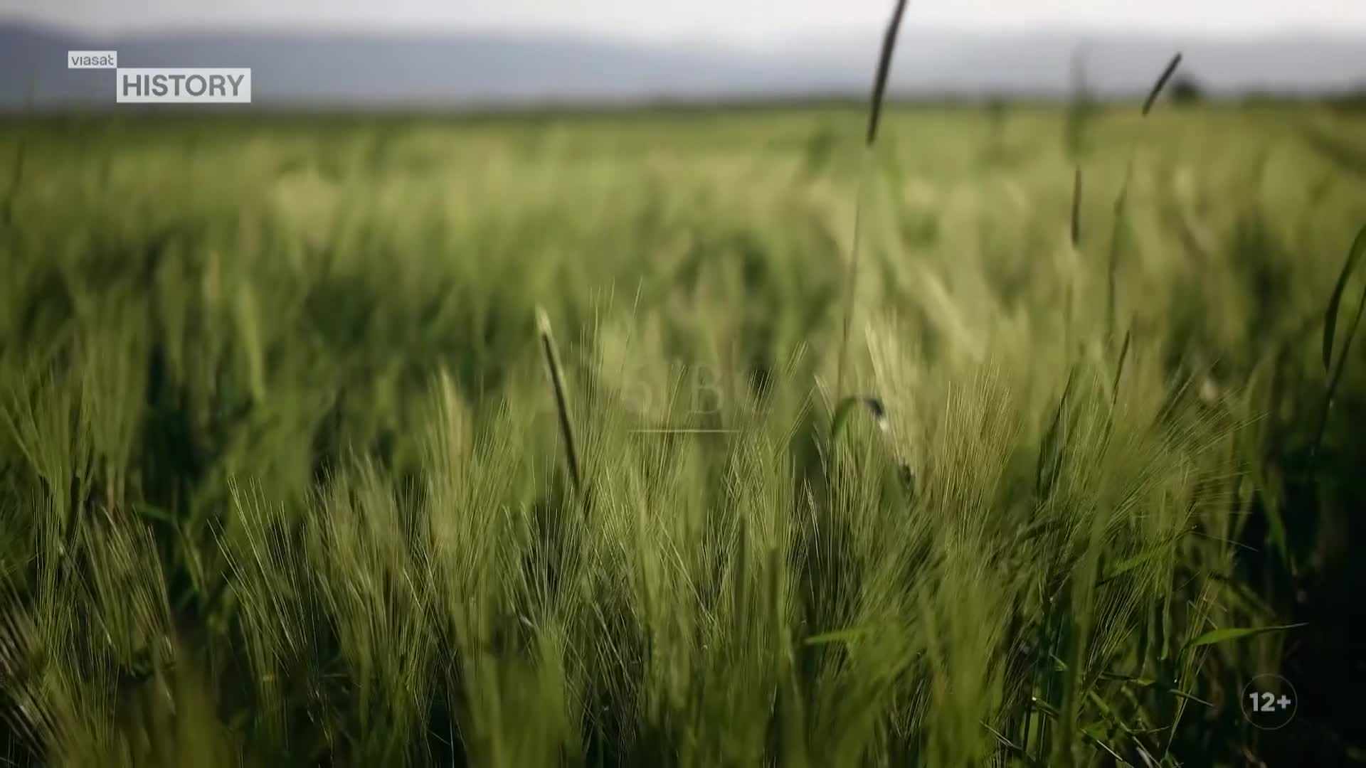 ViasatHistory