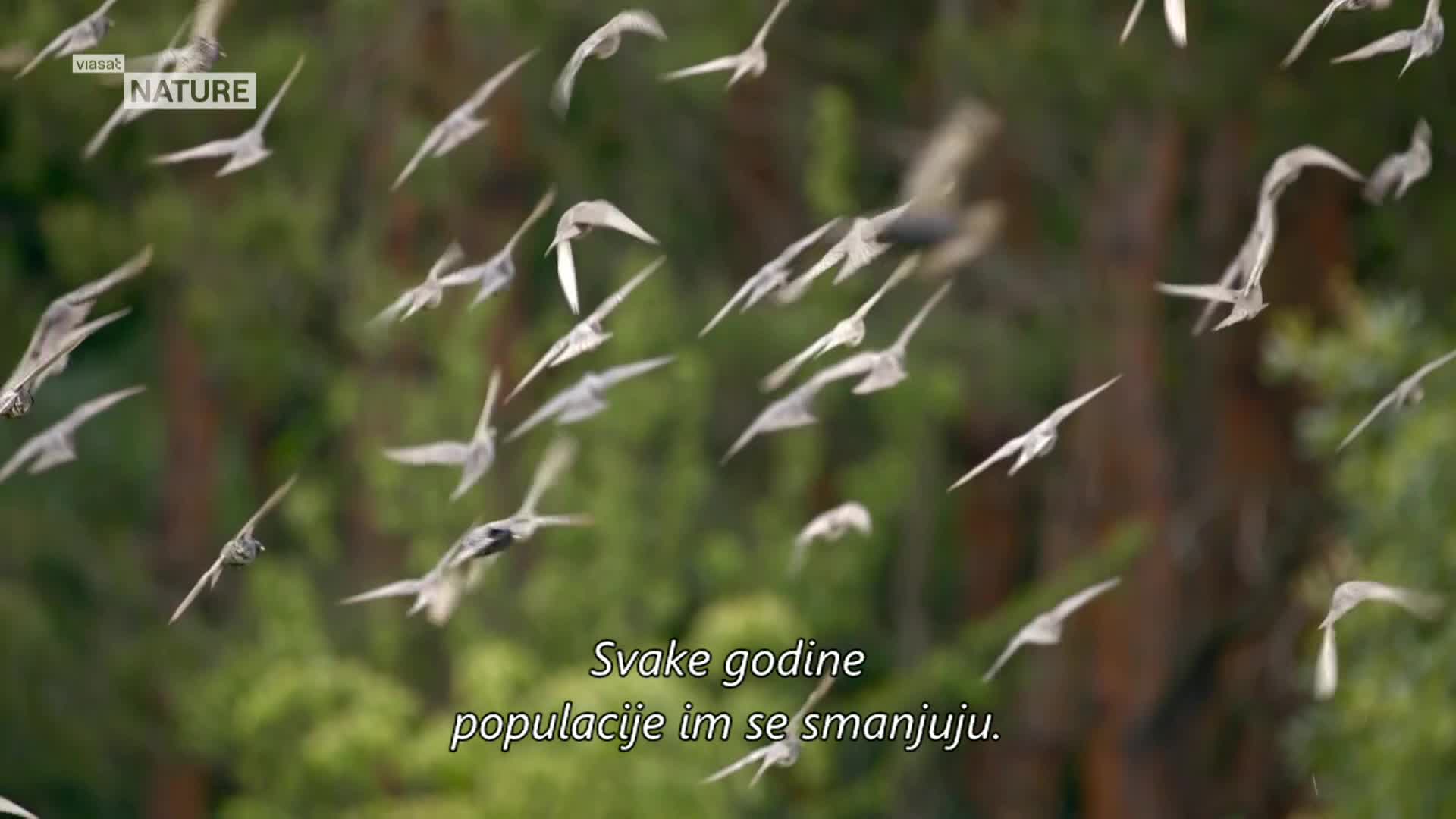 ViasatNature