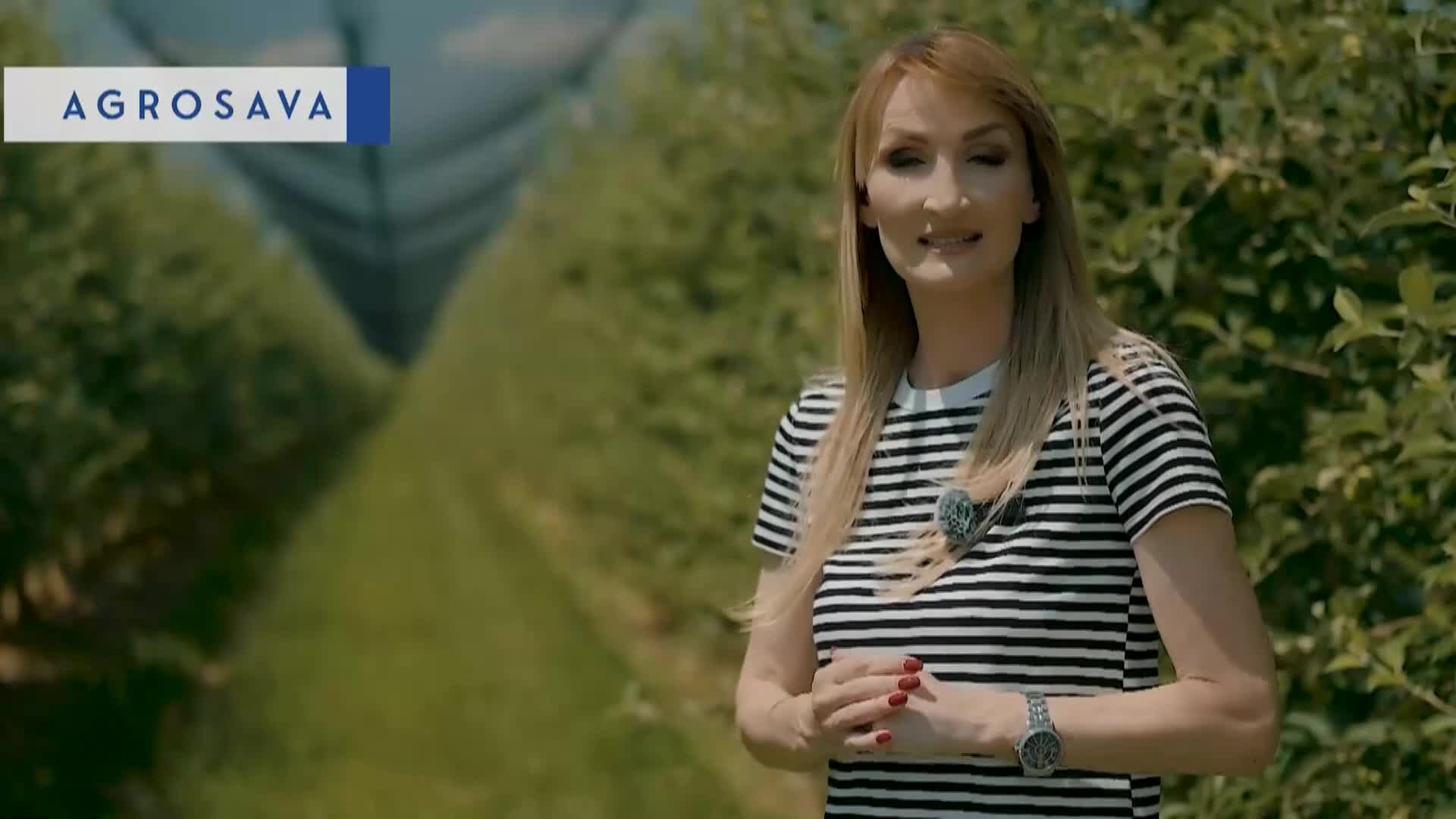 HappyTV