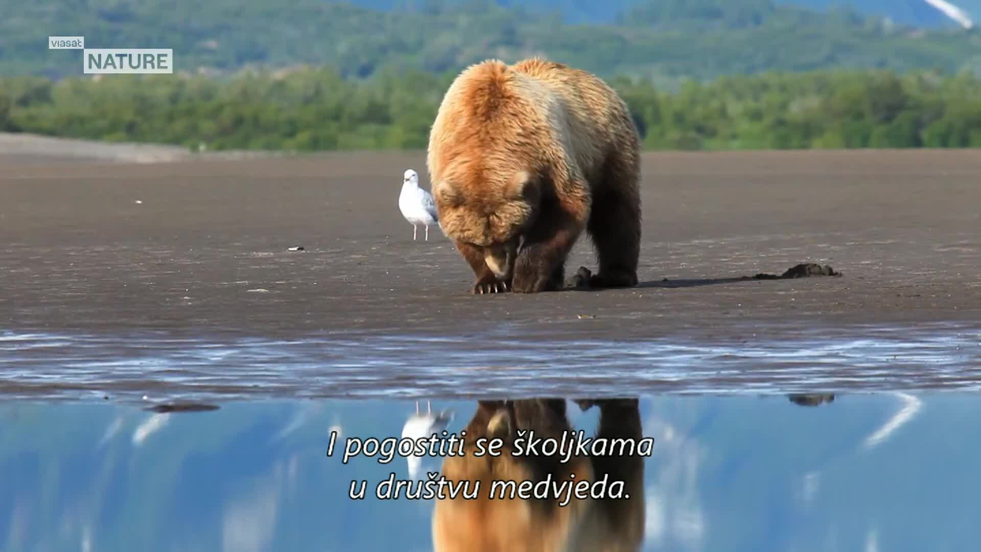 ViasatNature
