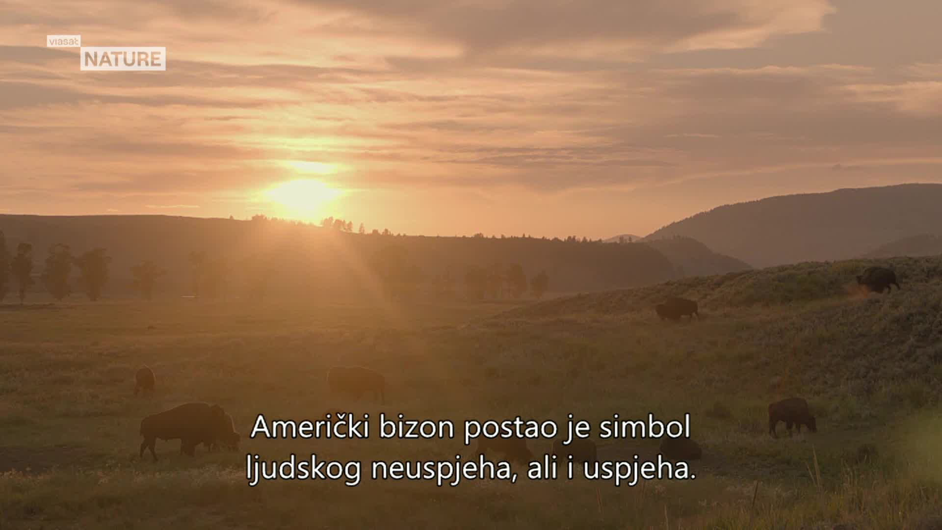 ViasatNature