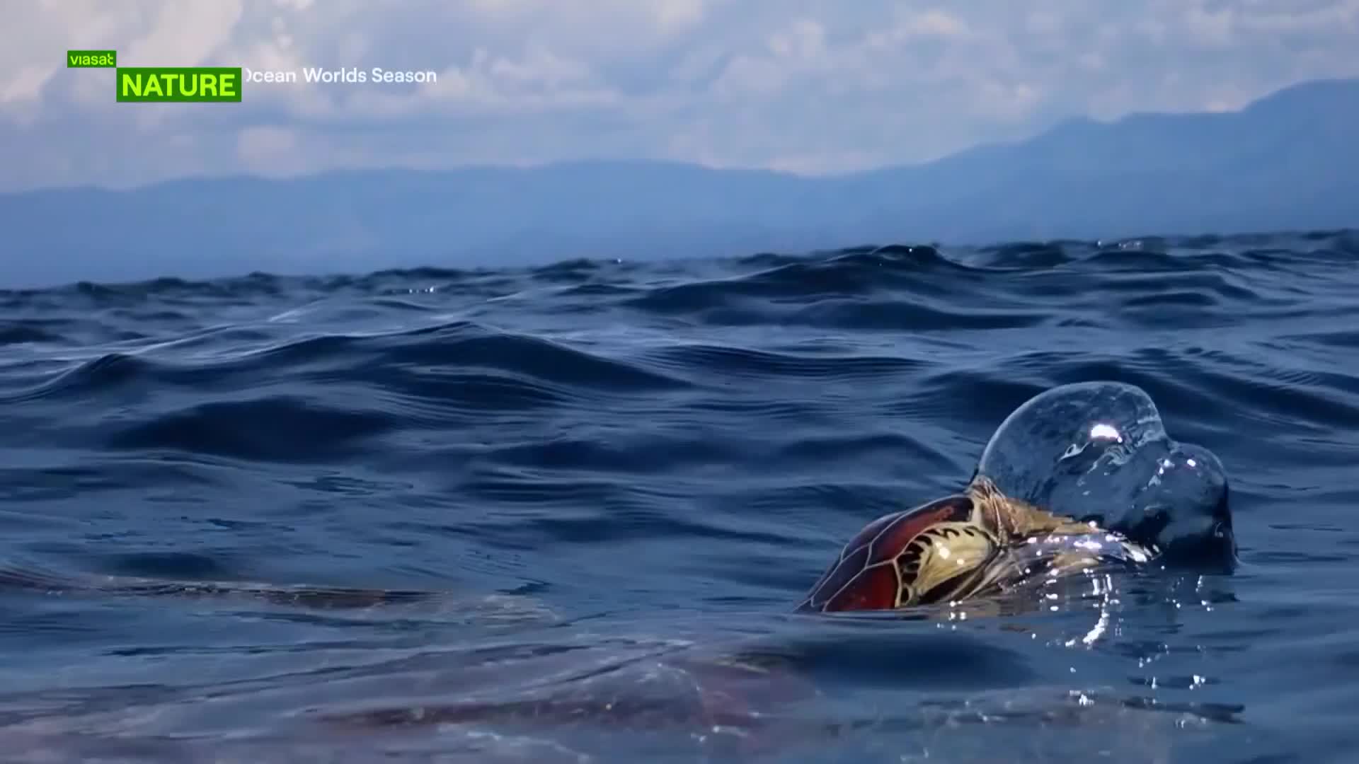 ViasatNature