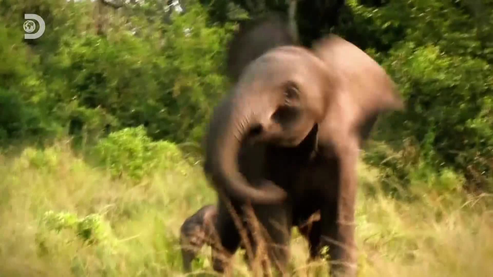 ViasatExplorer