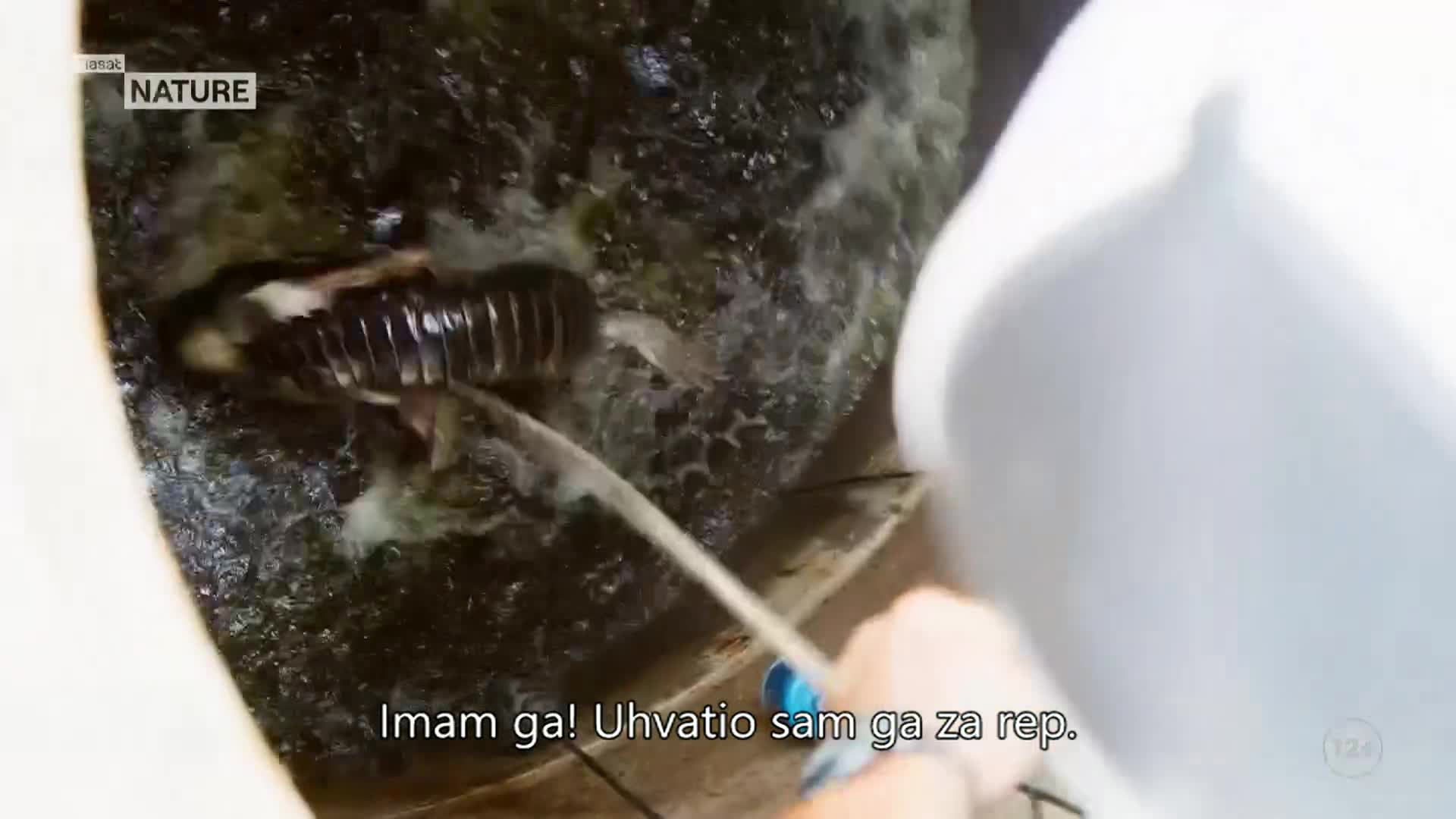 ViasatNature