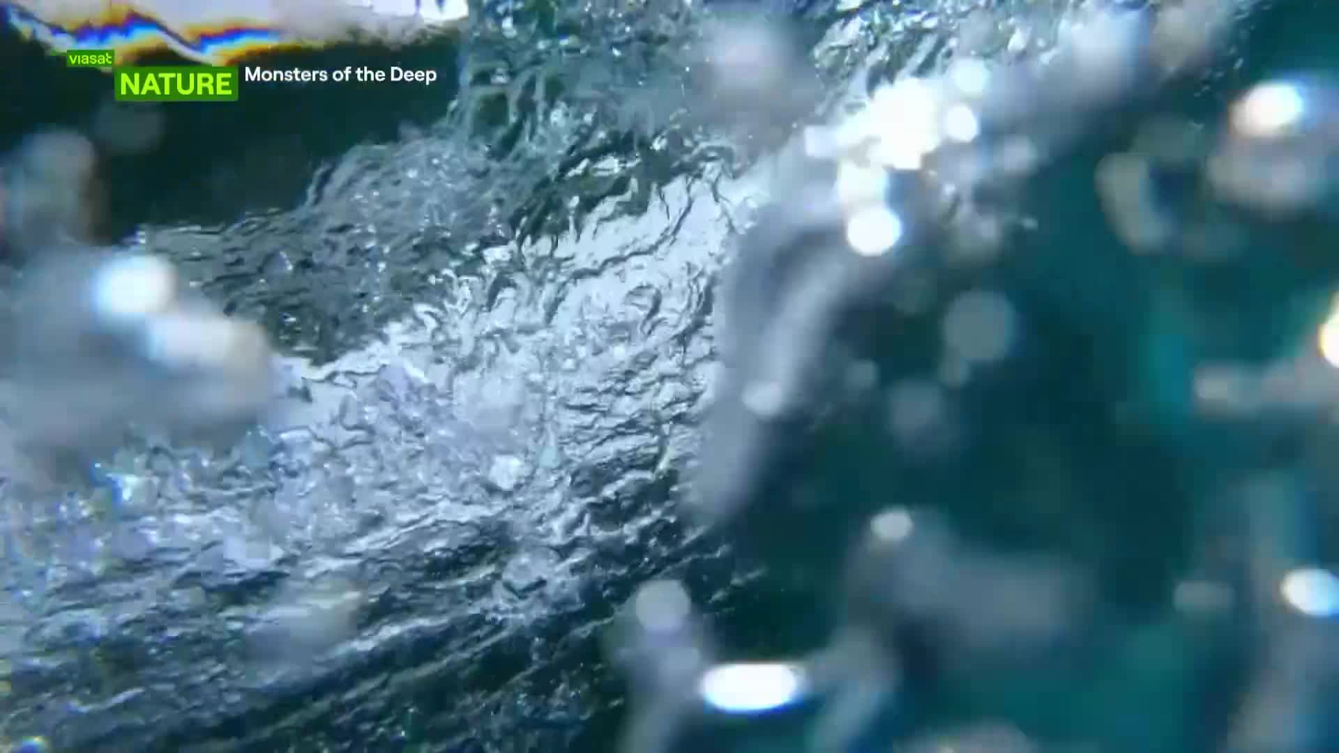 ViasatNature