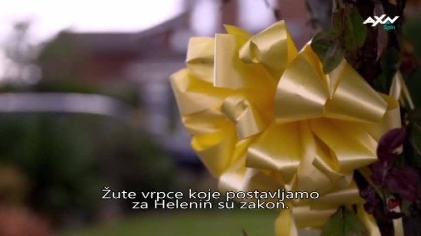 AXNSpin