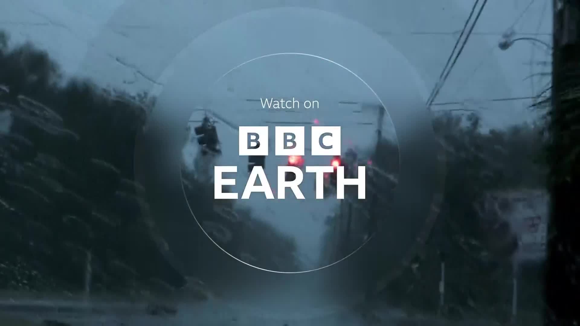 BBCEarth