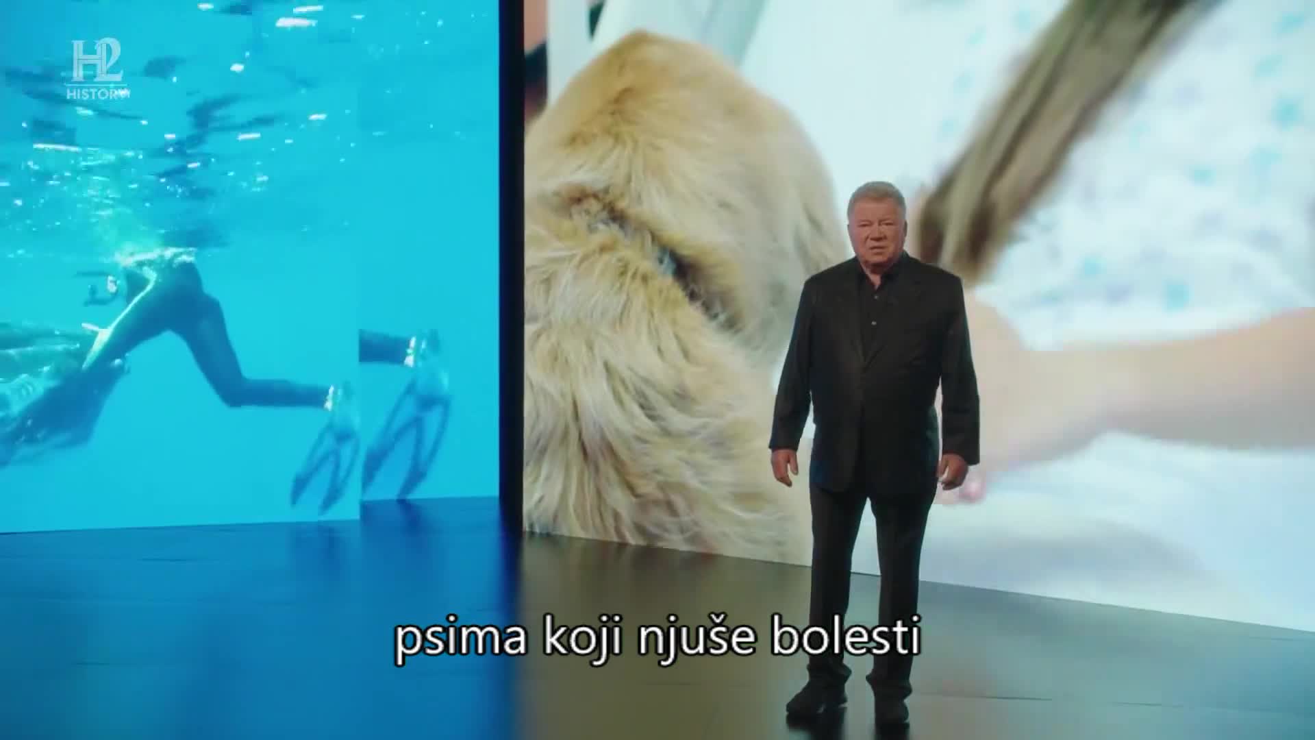 History2
