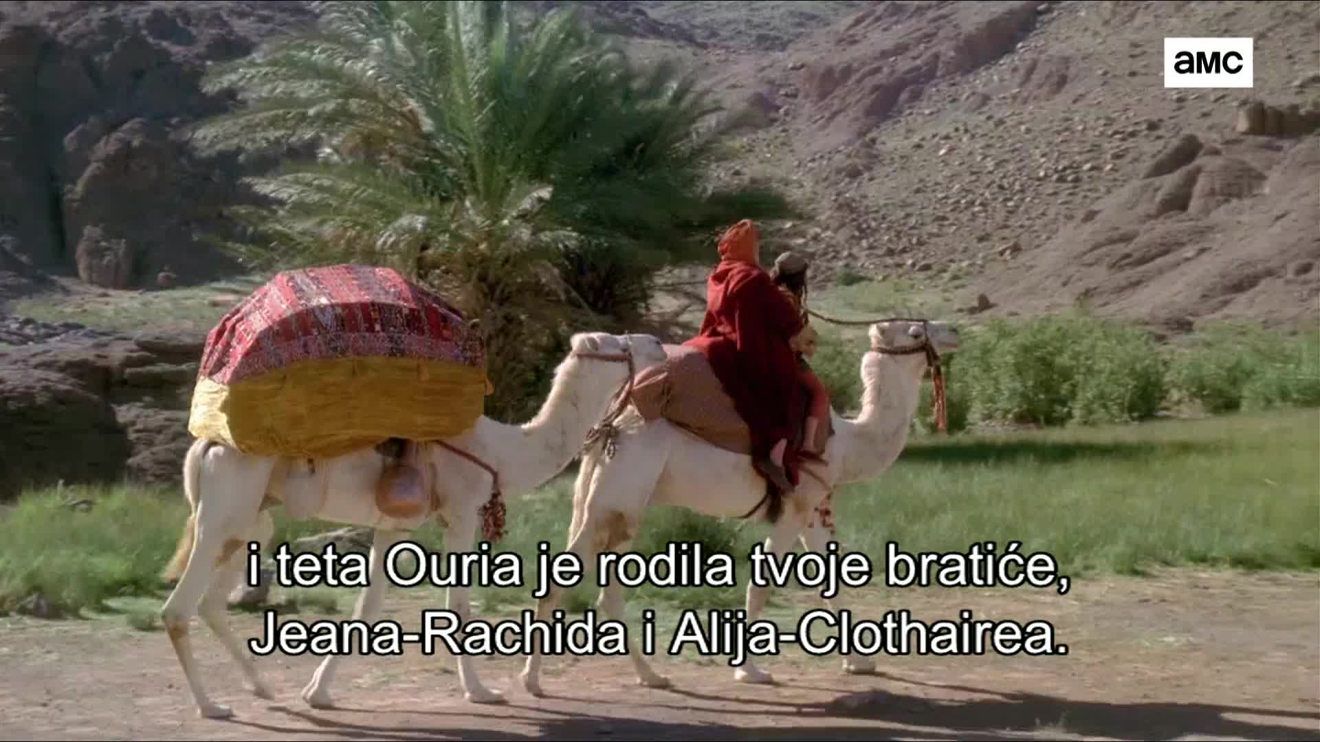 AMCHD