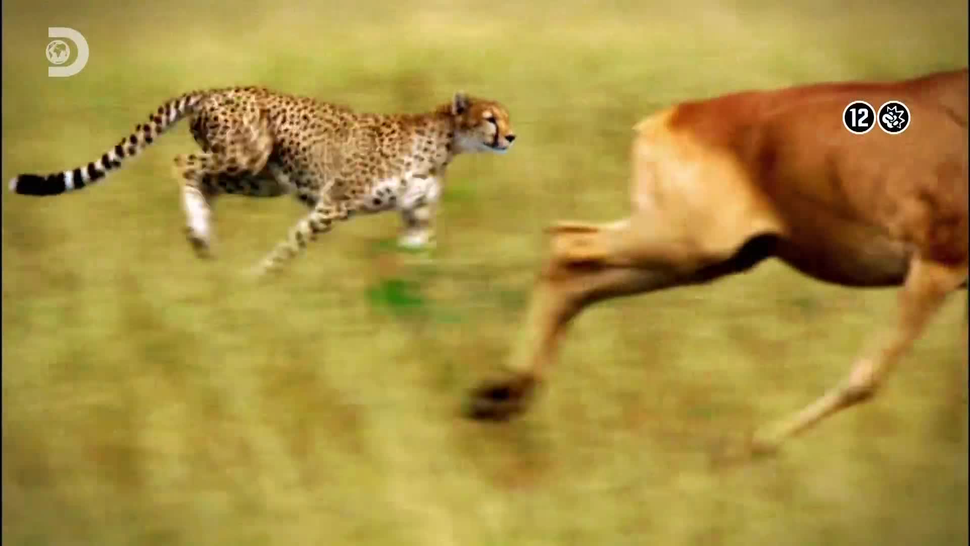 ViasatExplorer