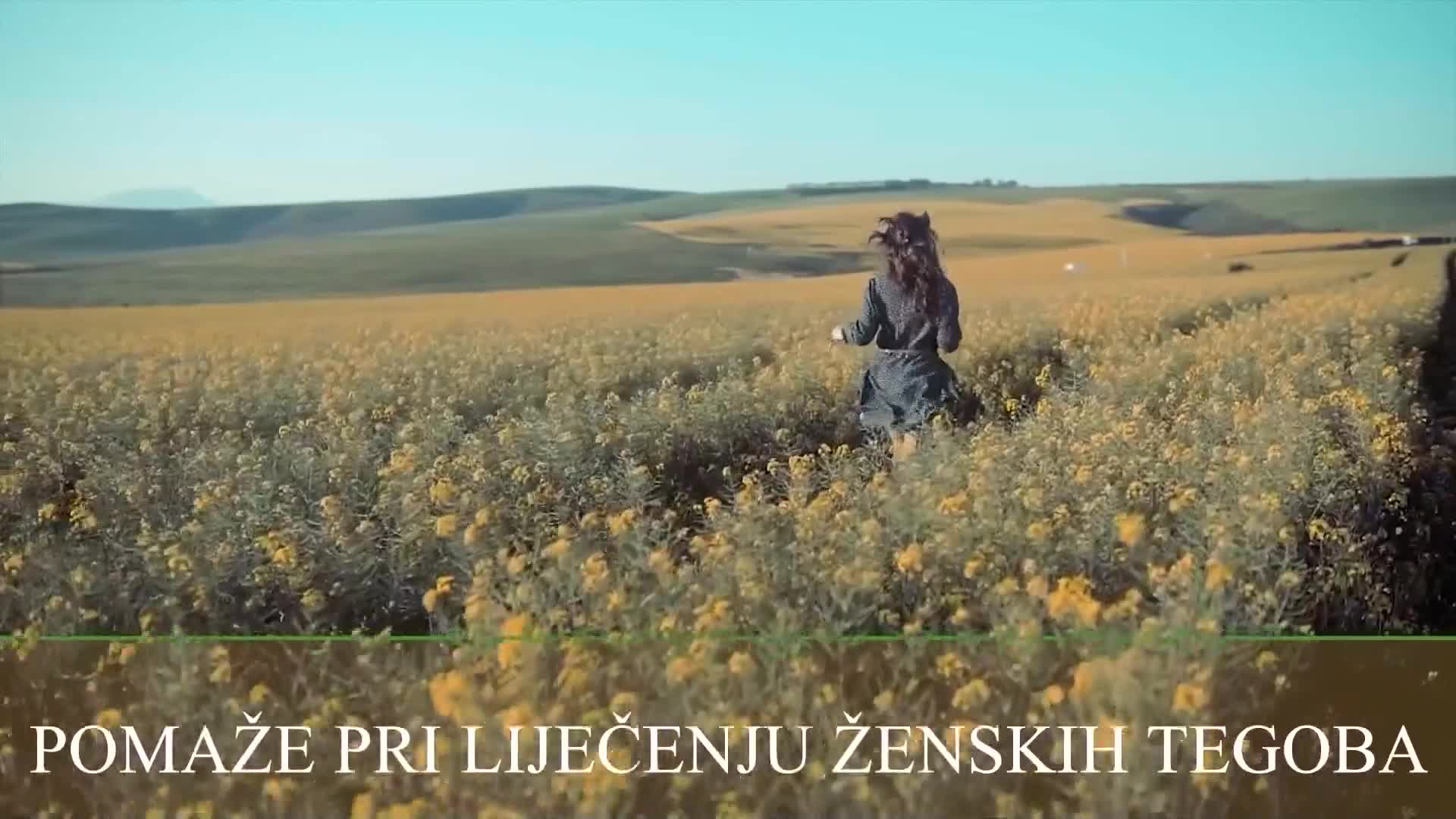 hayat
