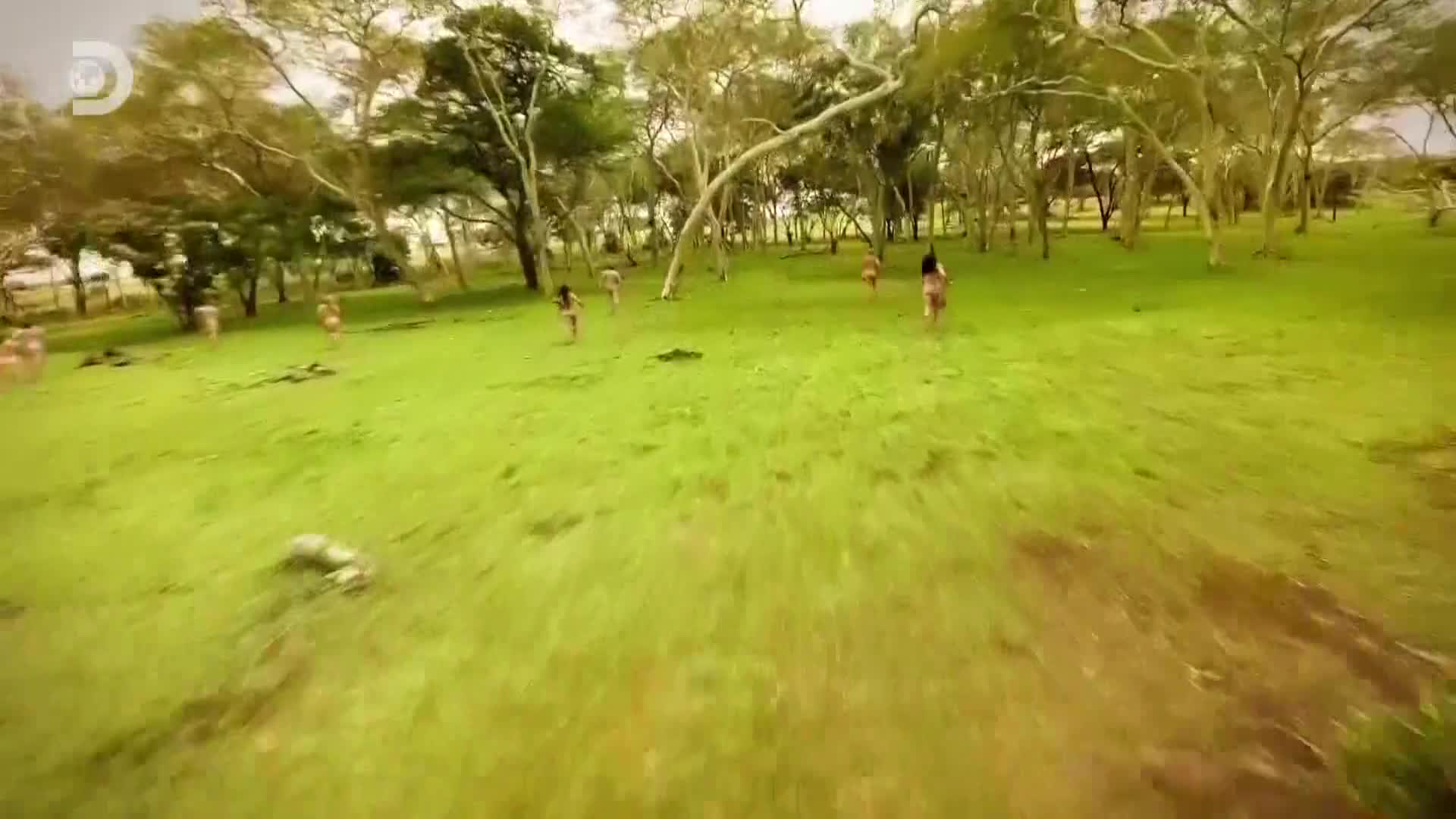 ViasatExplorer