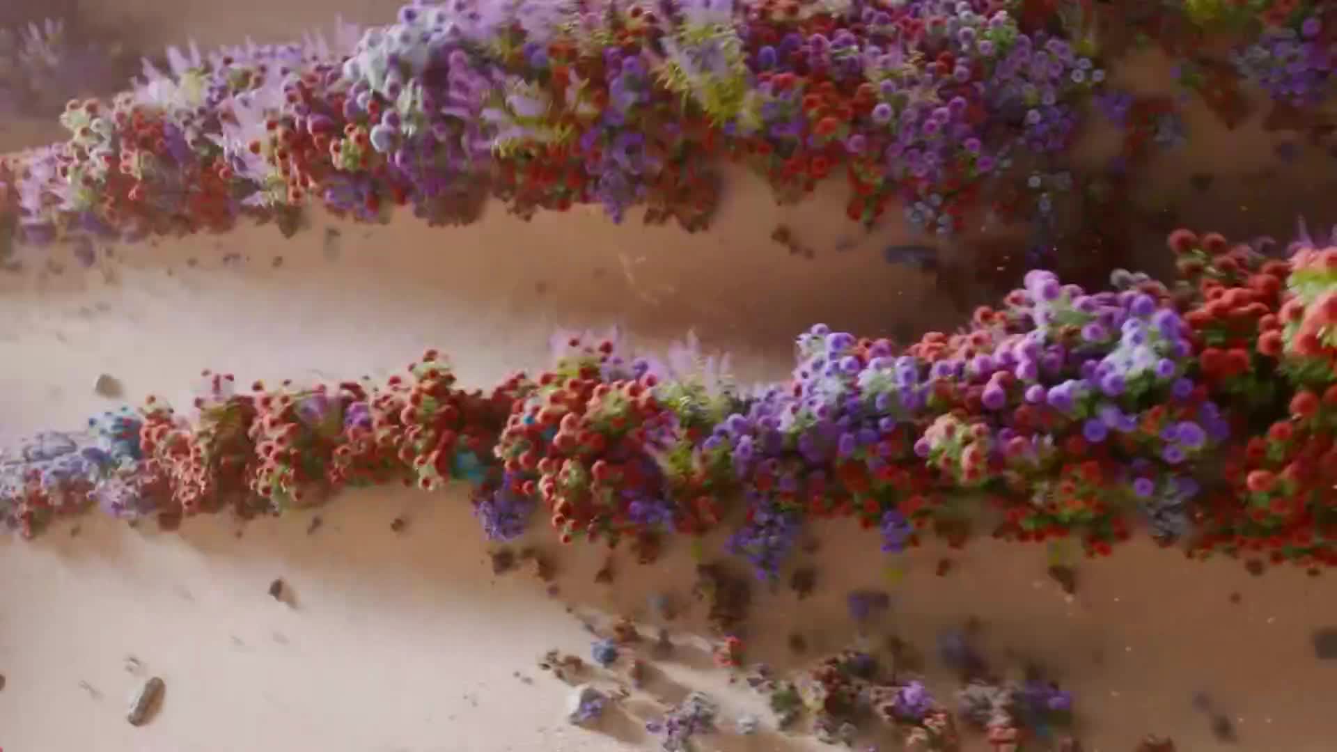 ViasatNature