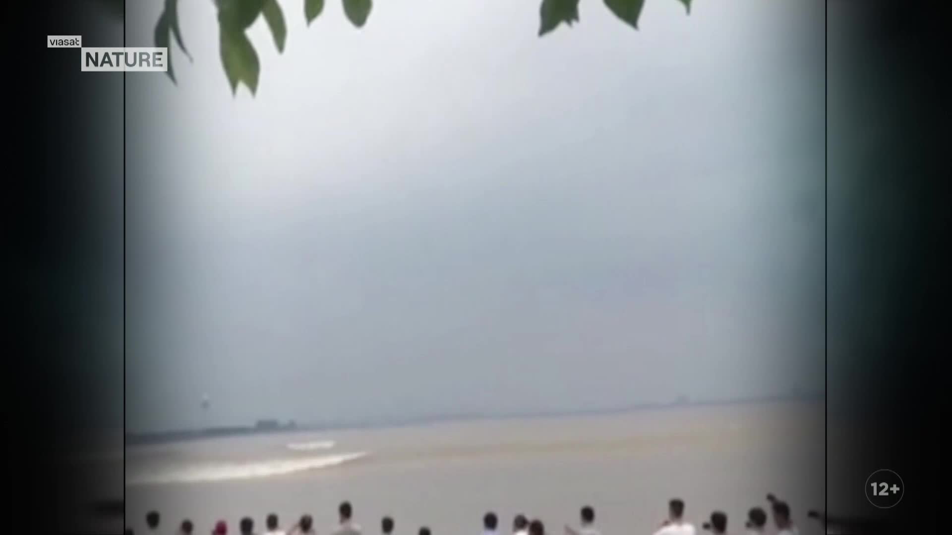 ViasatNature