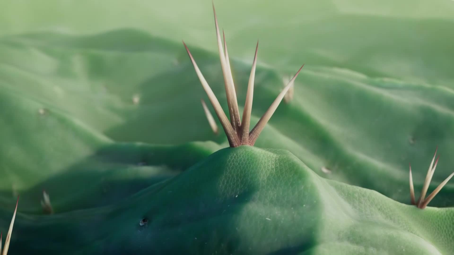ViasatNature