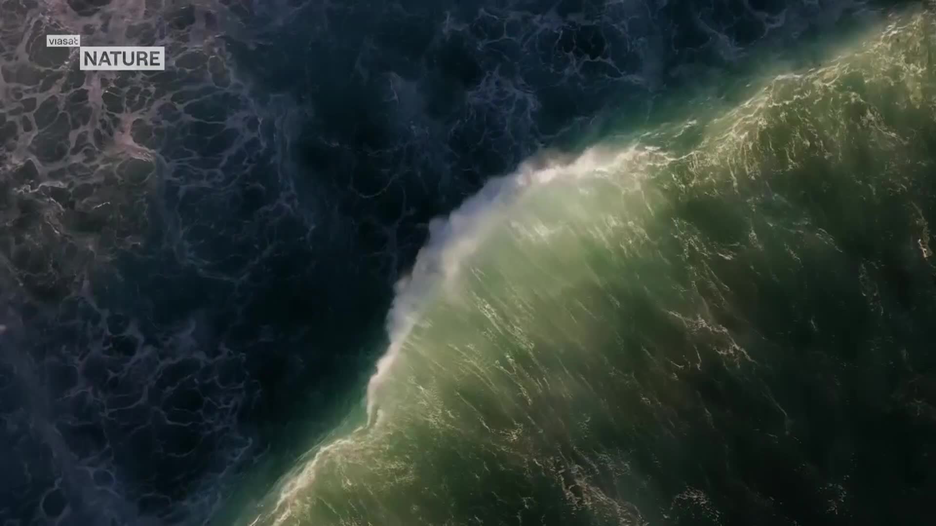 ViasatNature