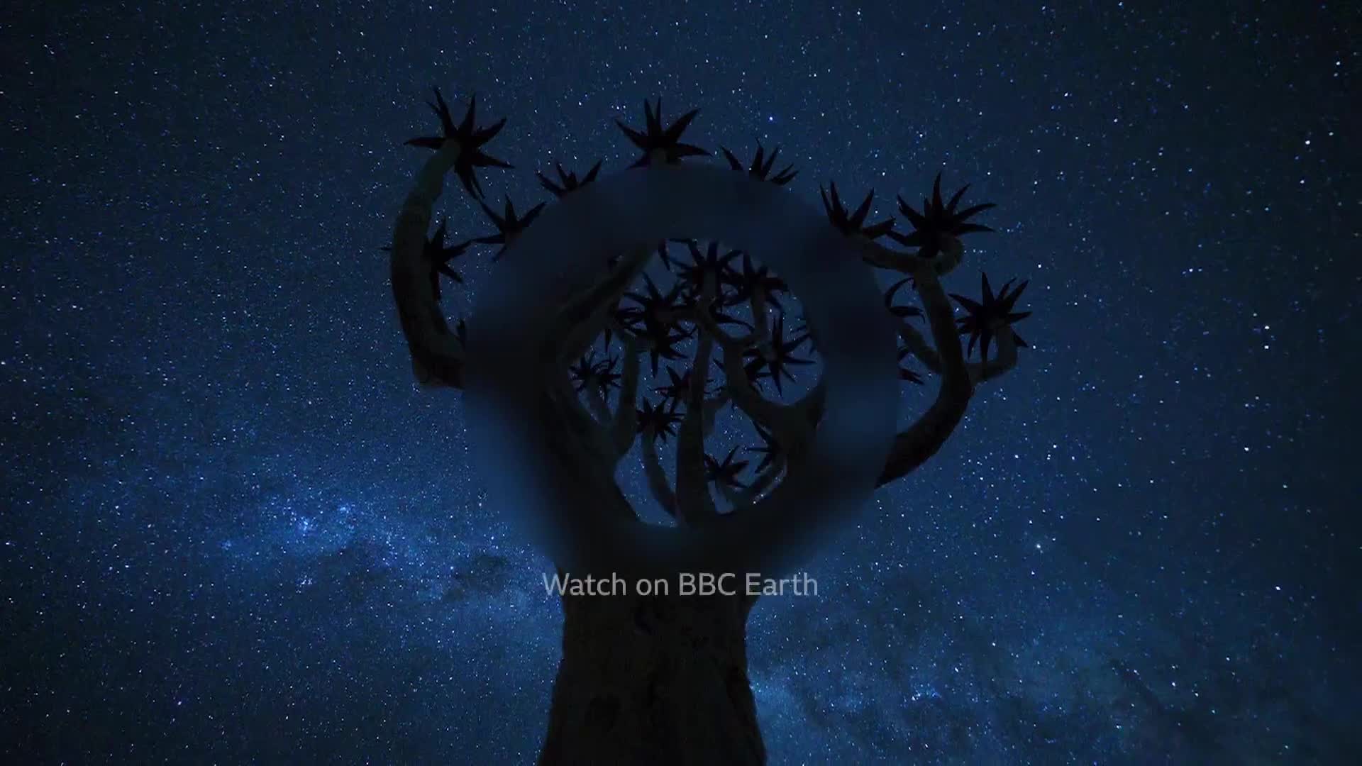 BBCEarth