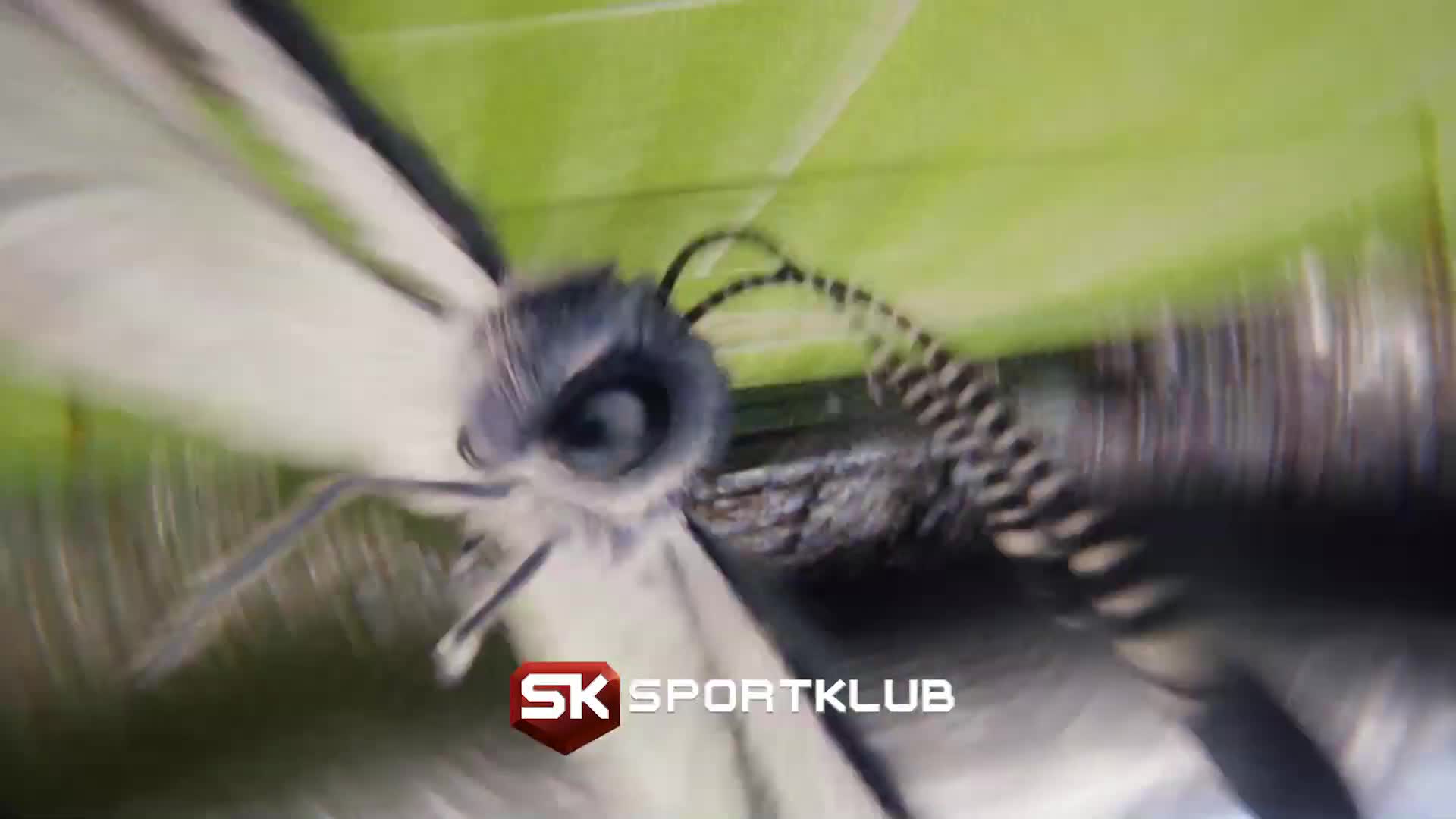 SK3hr