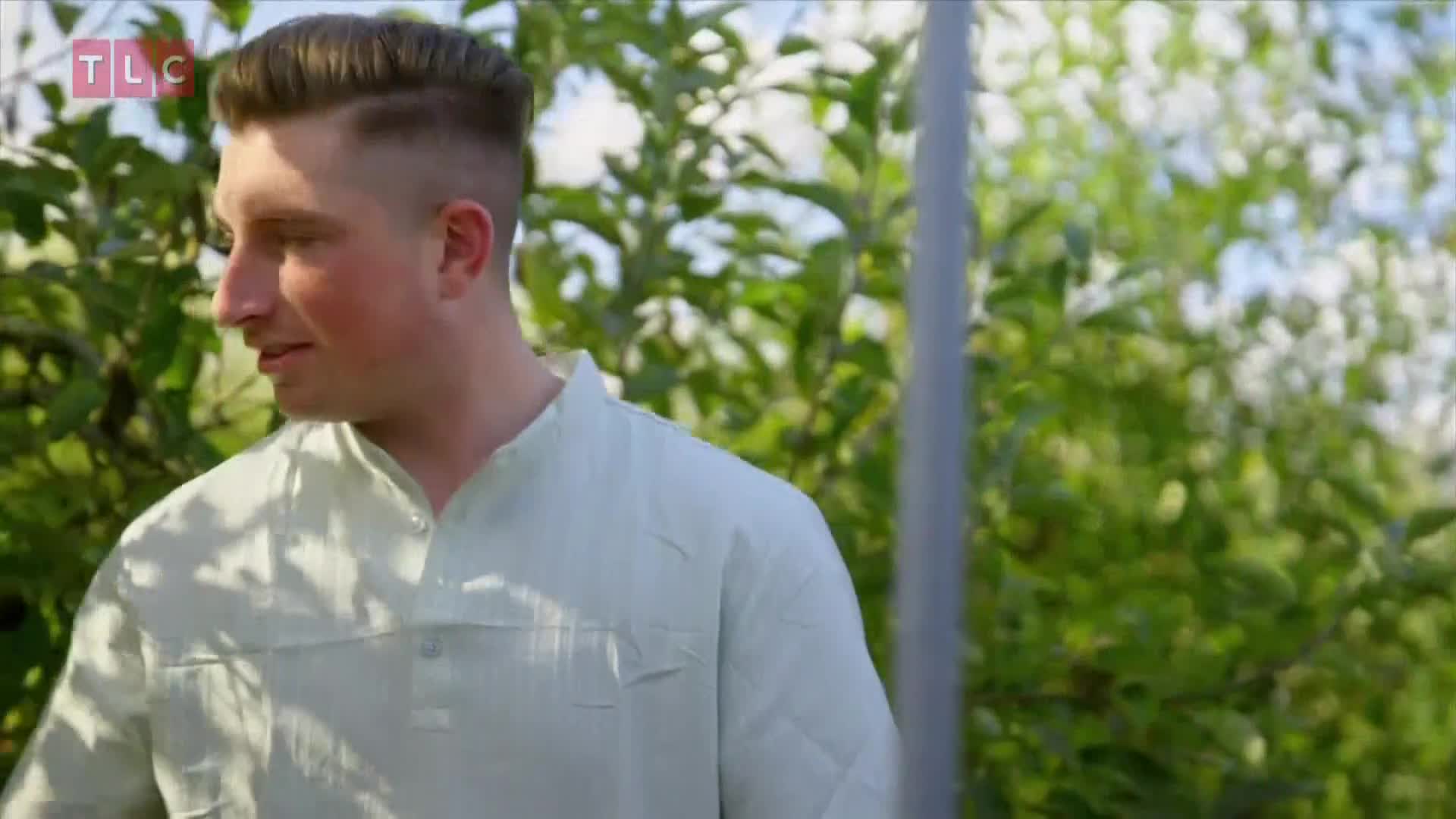TLC