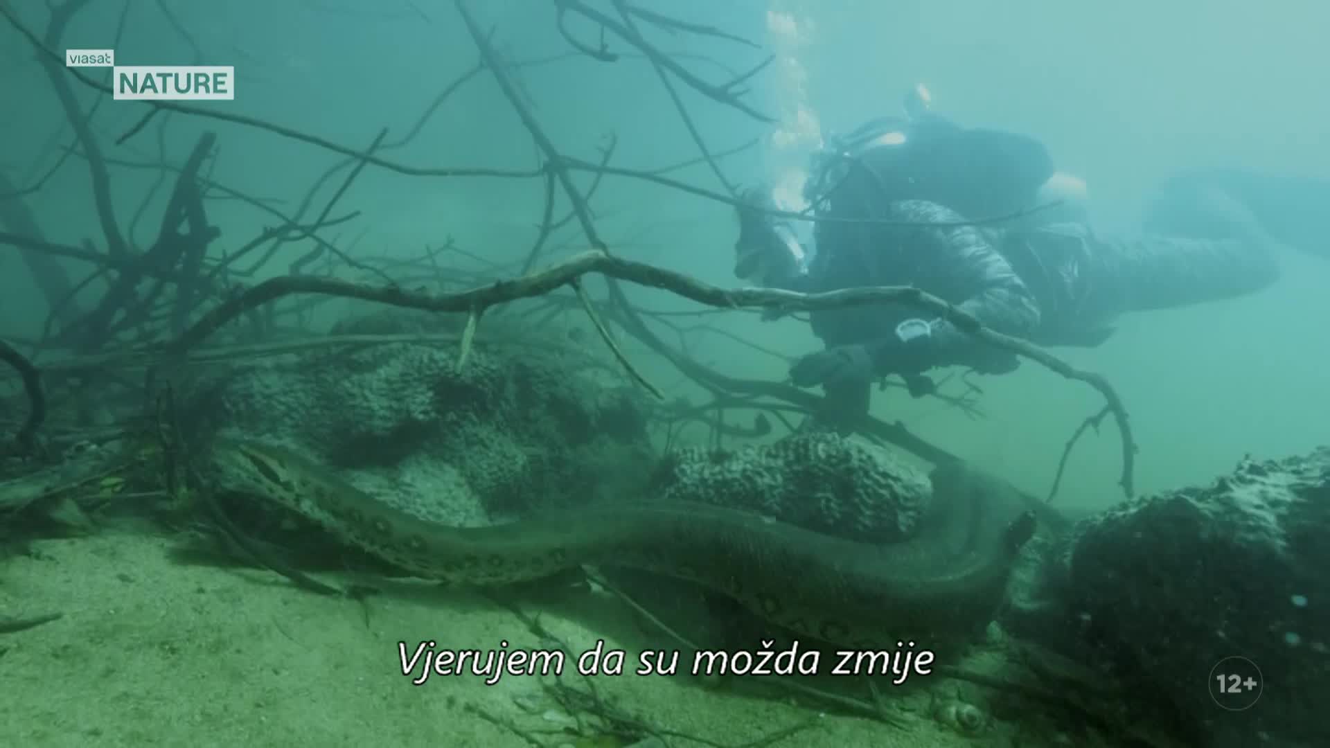 ViasatNature