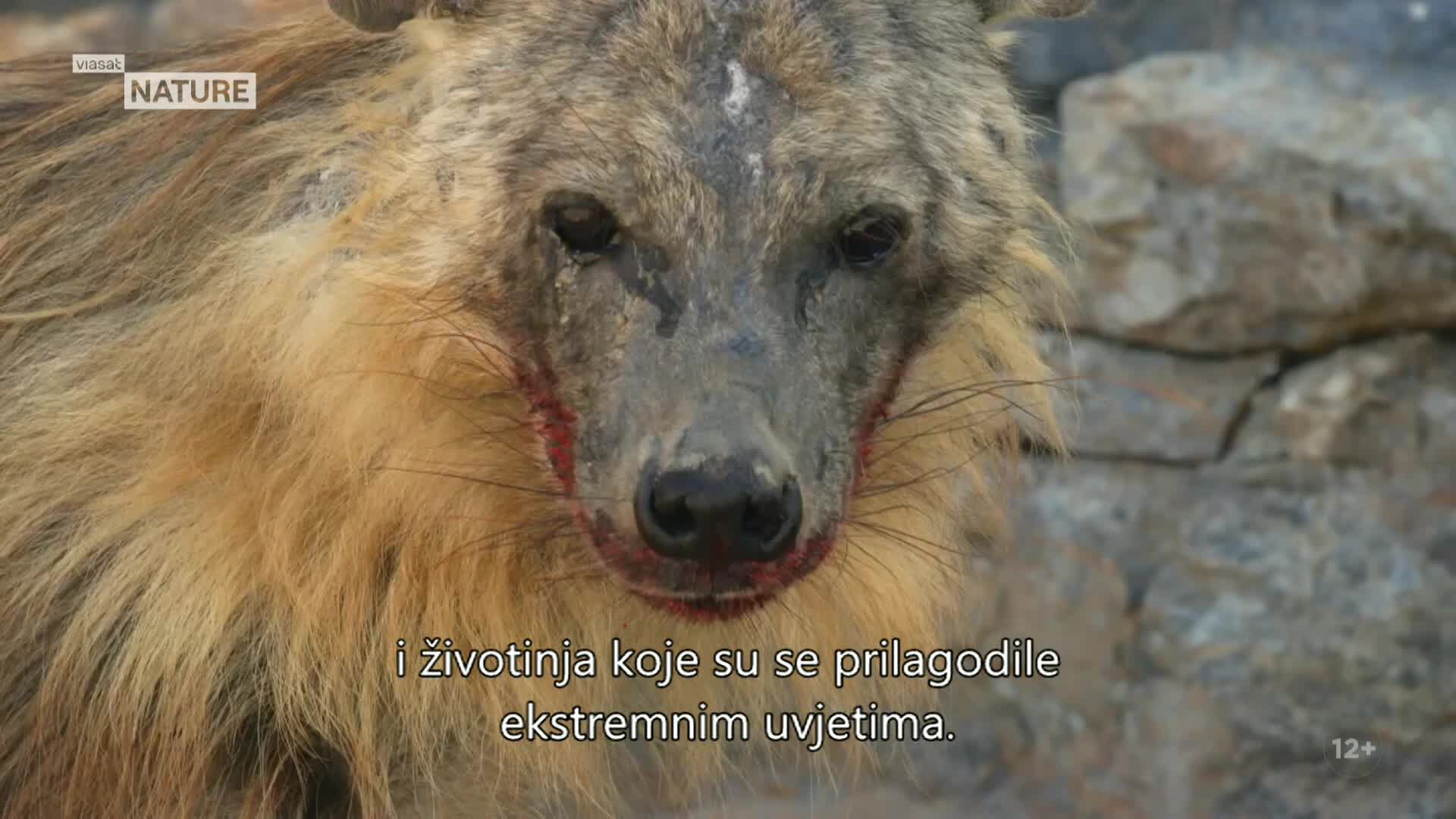 ViasatNature