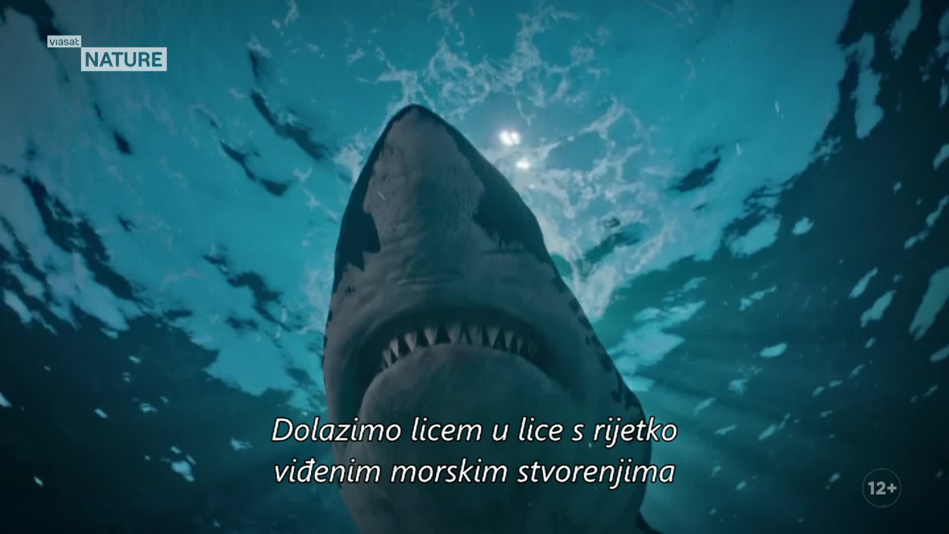 ViasatNature