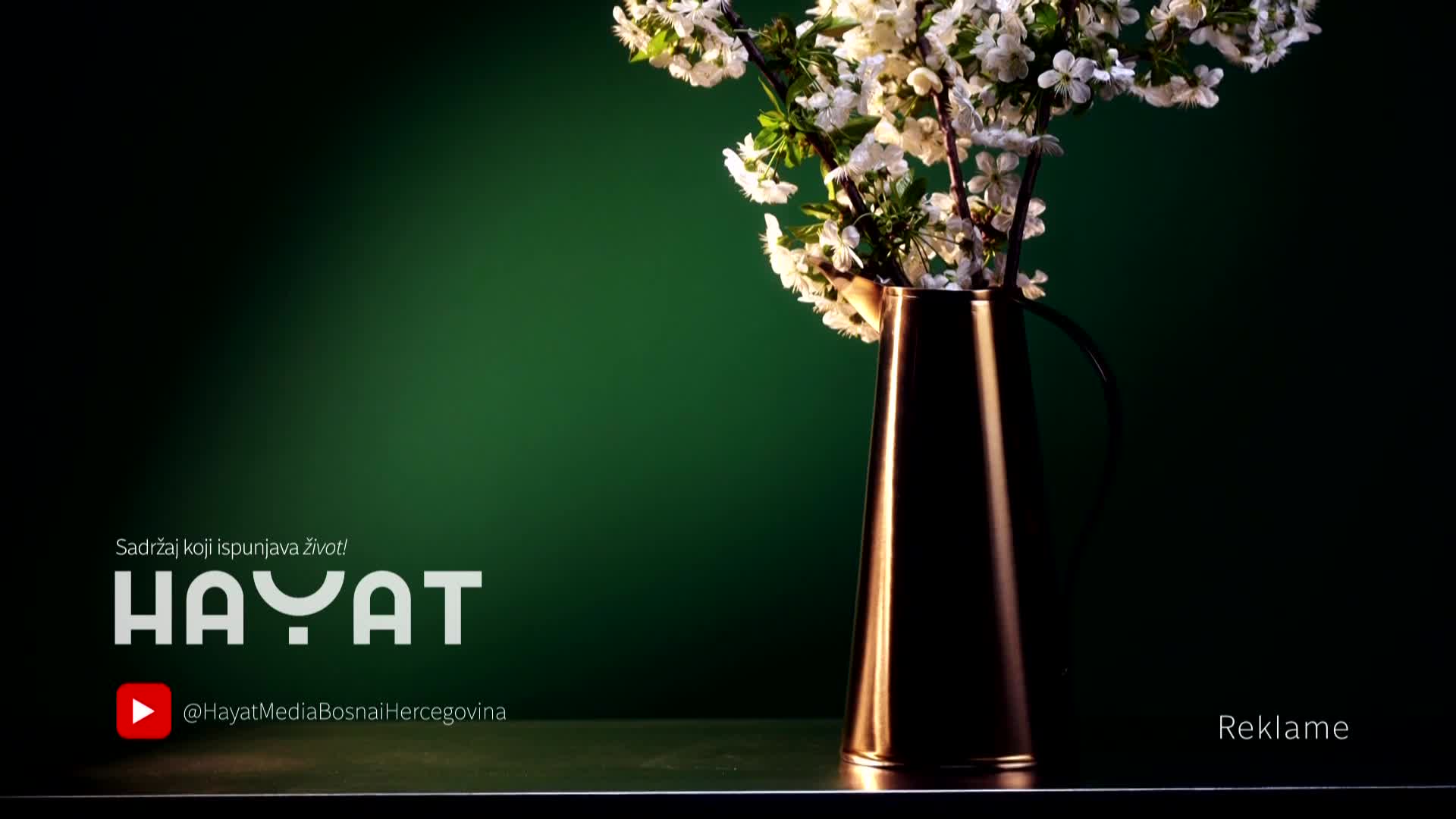 hayat