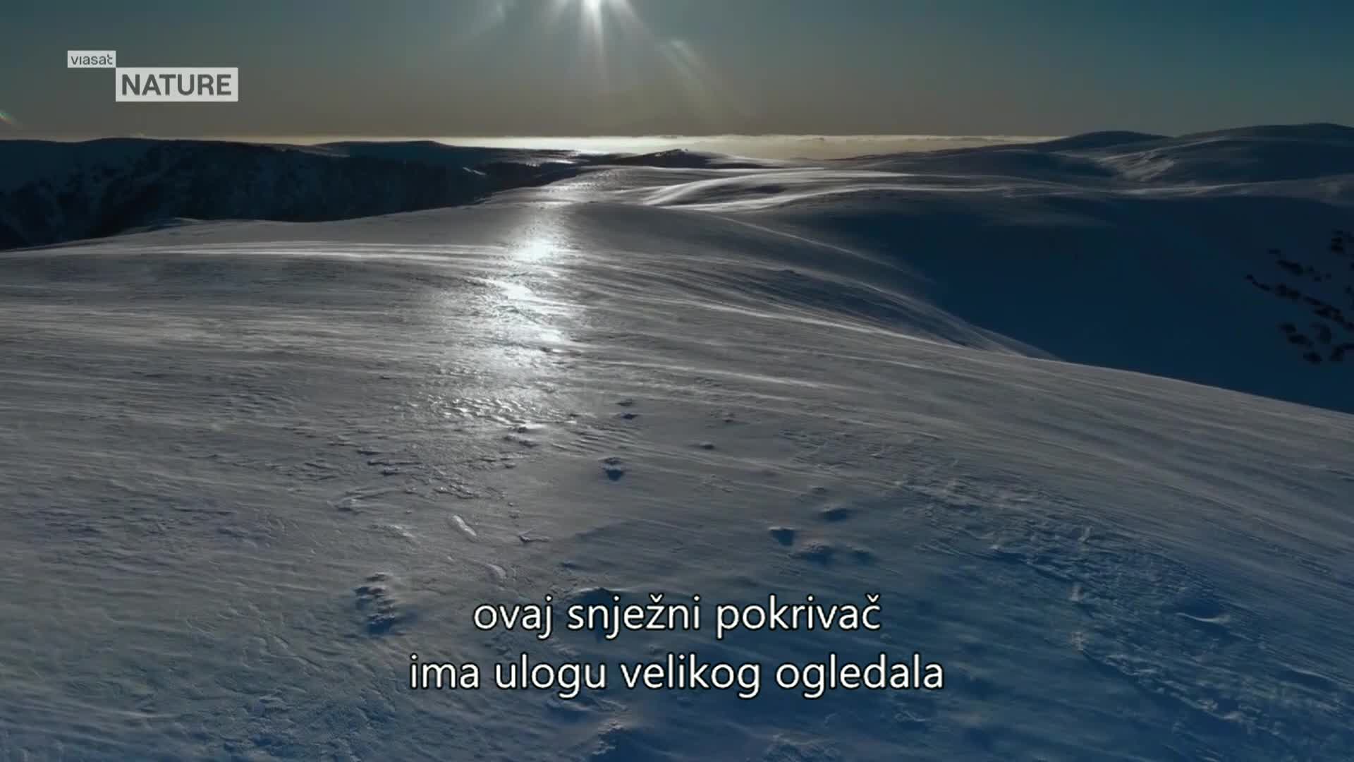 ViasatNature