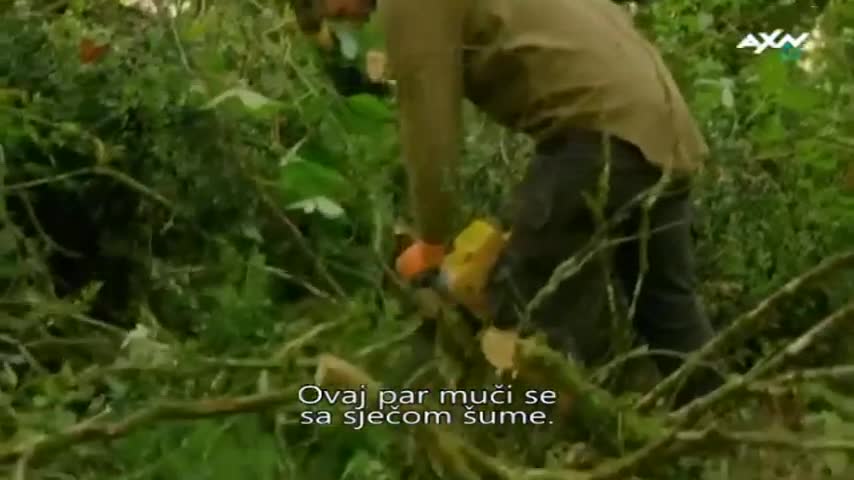 AXNSpin