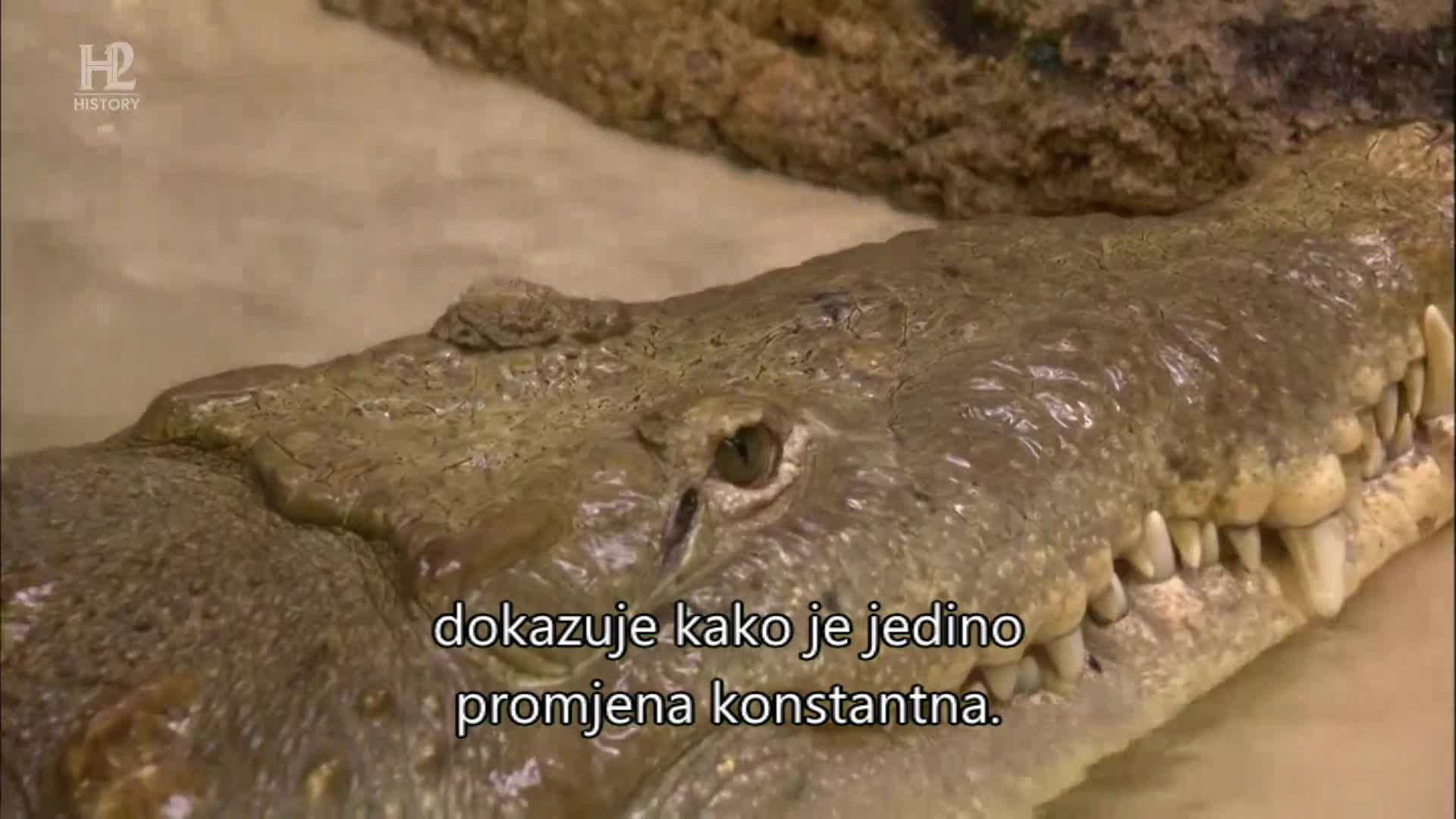 History2